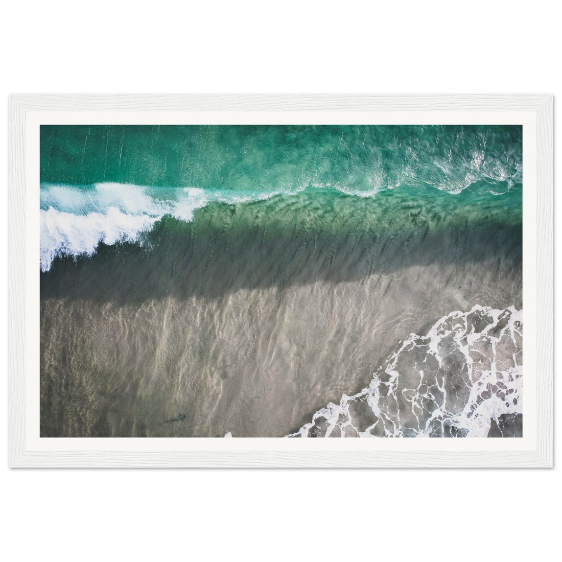 Shark - Fine Art Photographic Print (Framed)