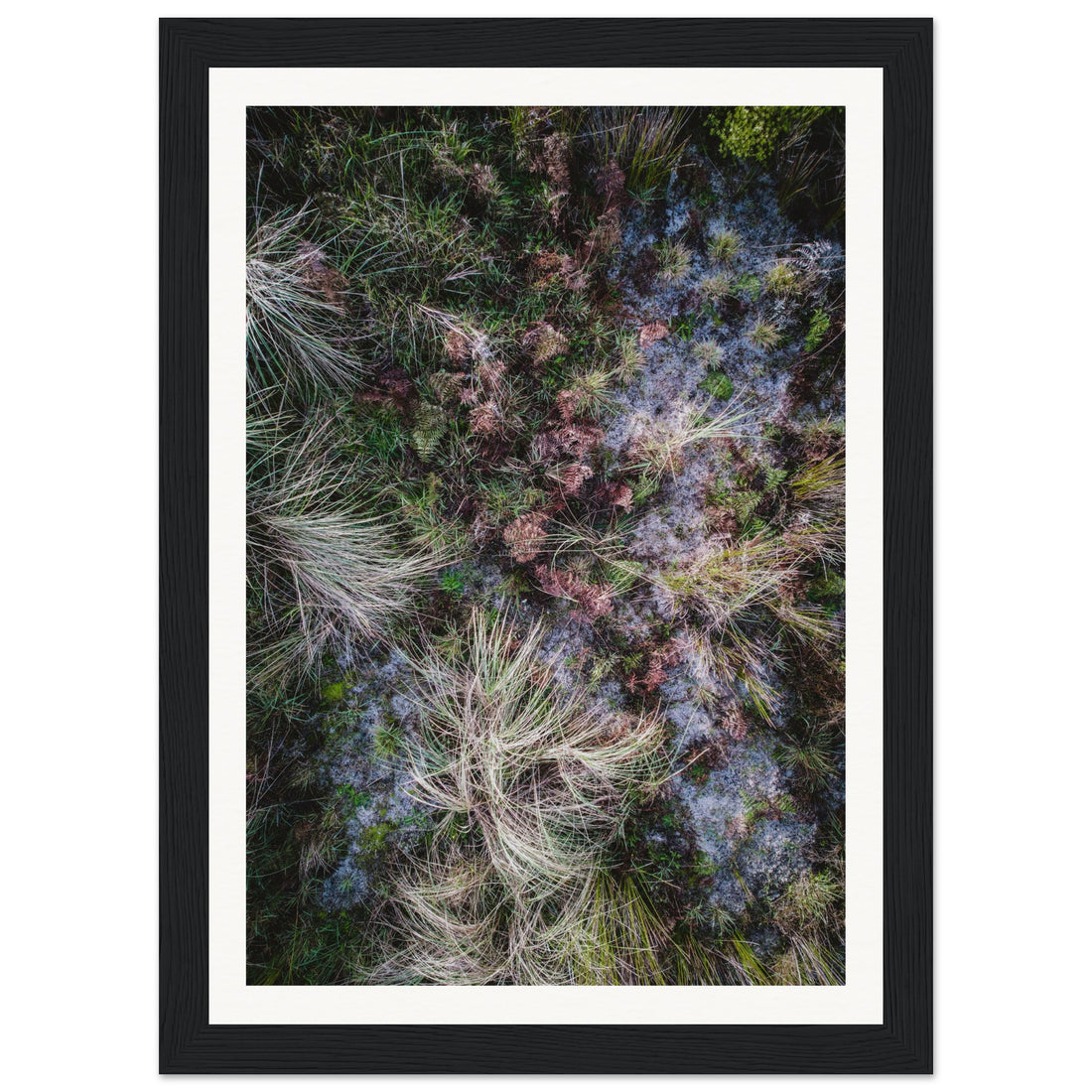 Textures - Fine Art Photographic Print (Framed)