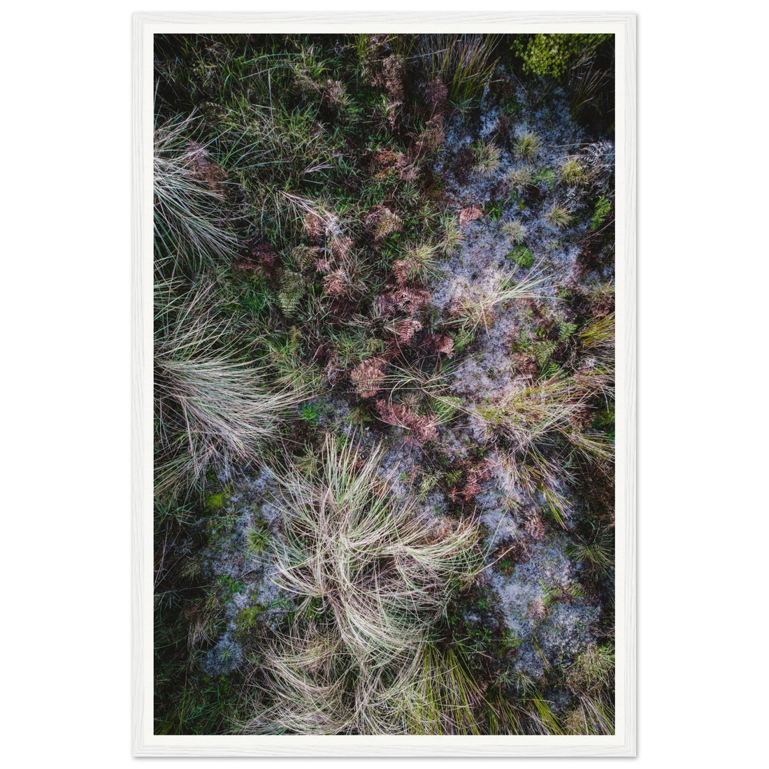 Textures - Fine Art Photographic Print (Framed)