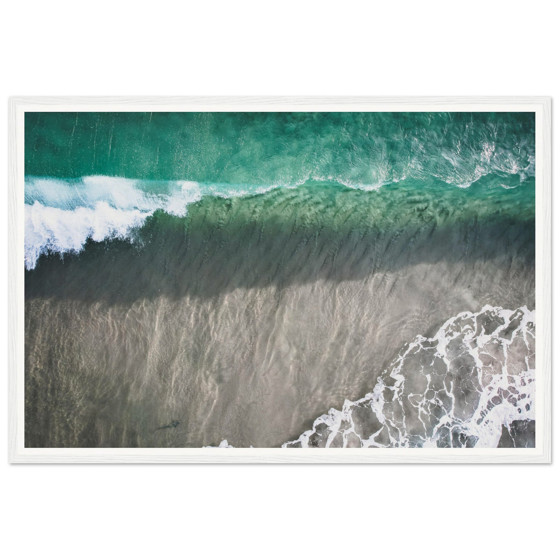 Shark - Fine Art Photographic Print (Framed)