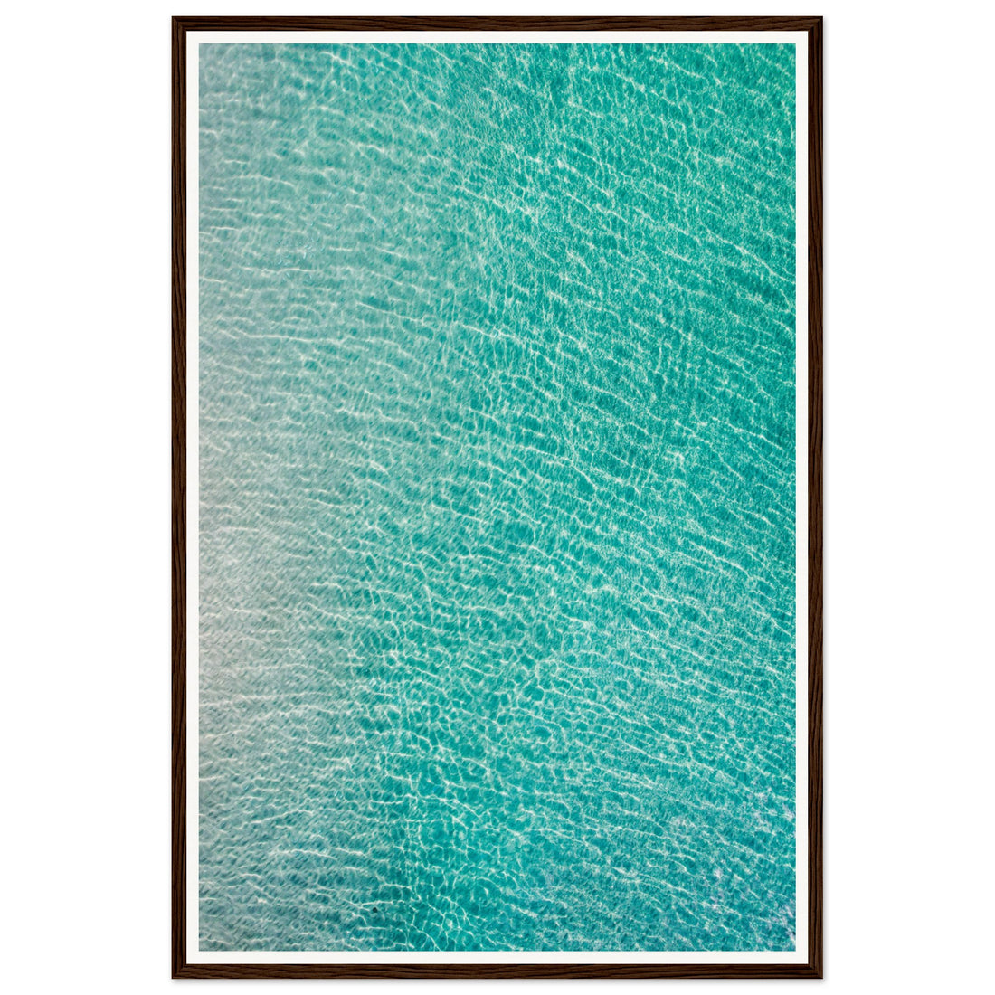 Shine - Fine Art Photographic Print (Framed)