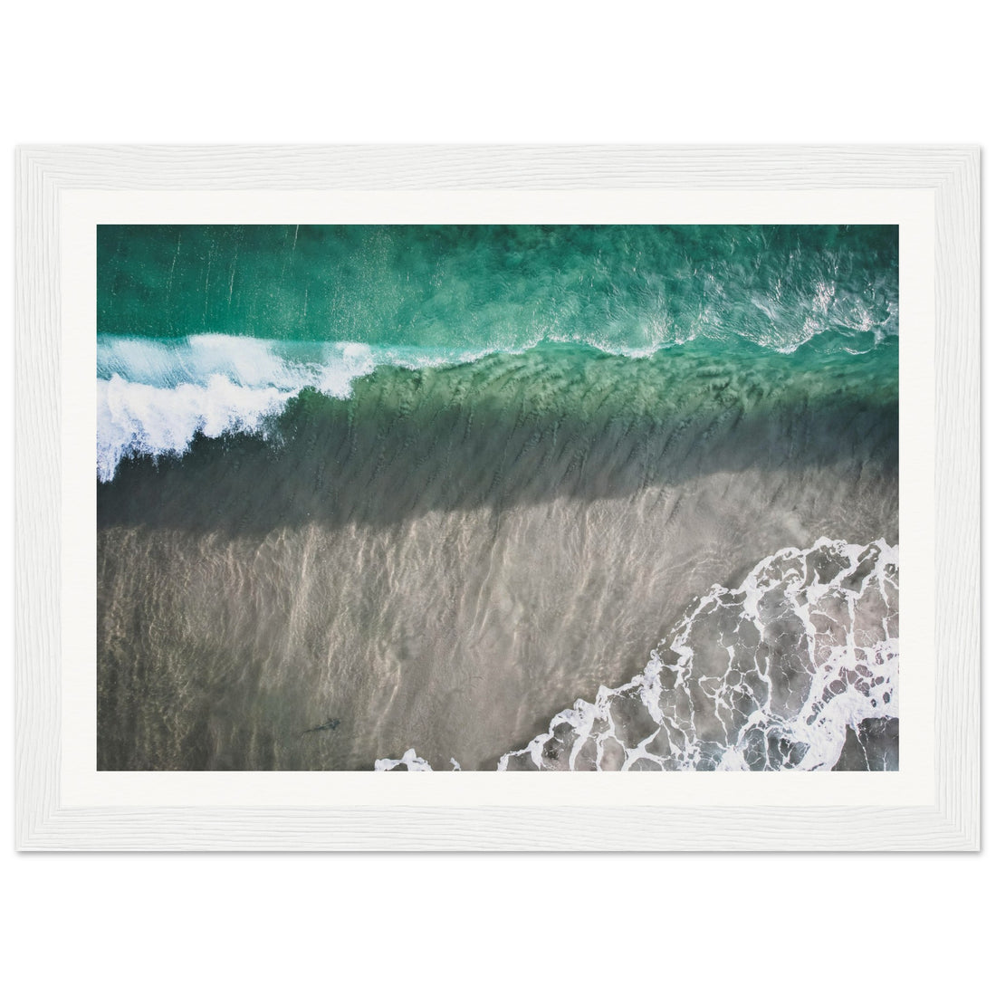 Shark - Fine Art Photographic Print (Framed)