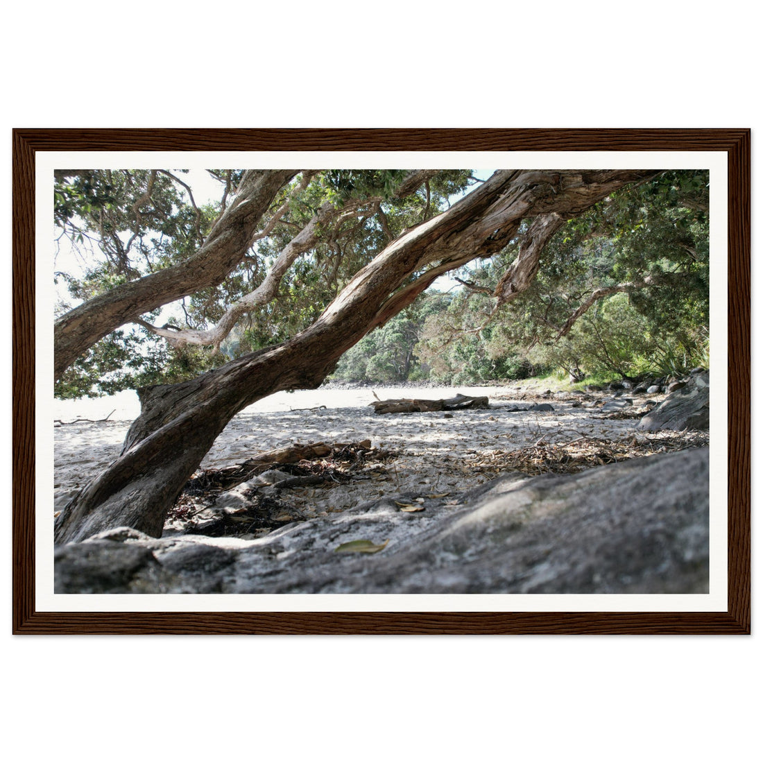 Through the Trees - Fine Art Photographic Print (Framed)