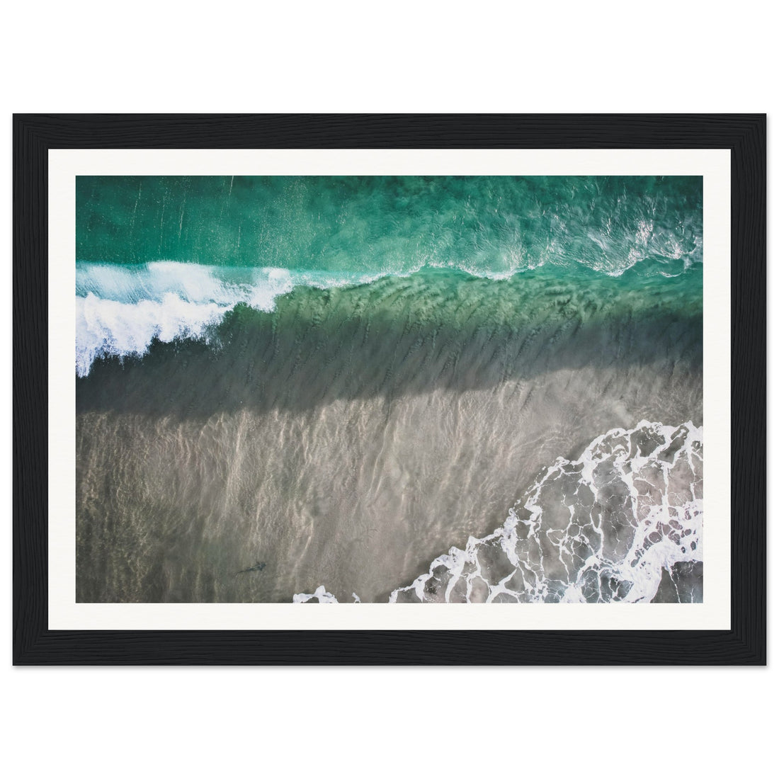 Shark - Fine Art Photographic Print (Framed)