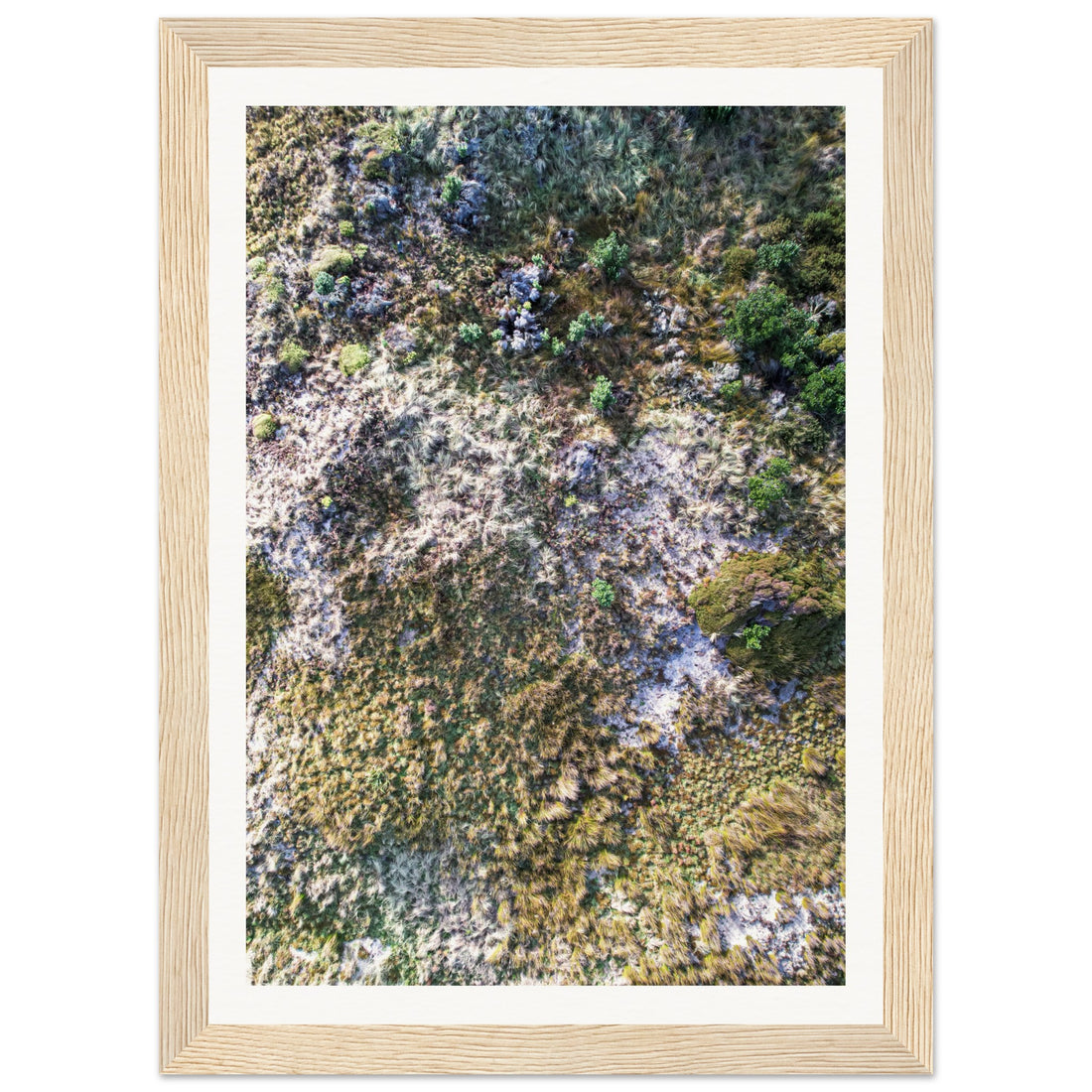 Forest in the Dunes - Fine Art Photographic Print (Framed)