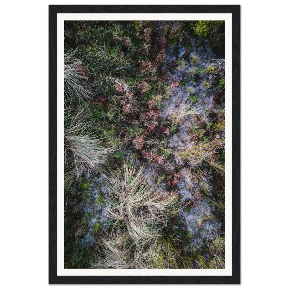 Textures - Fine Art Photographic Print (Framed)