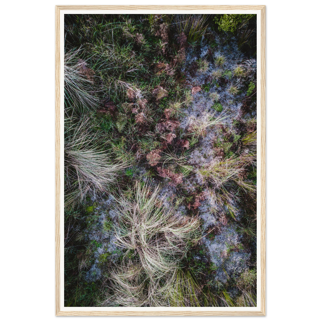 Textures - Fine Art Photographic Print (Framed)