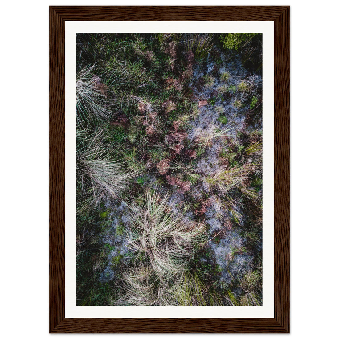 Textures - Fine Art Photographic Print (Framed)