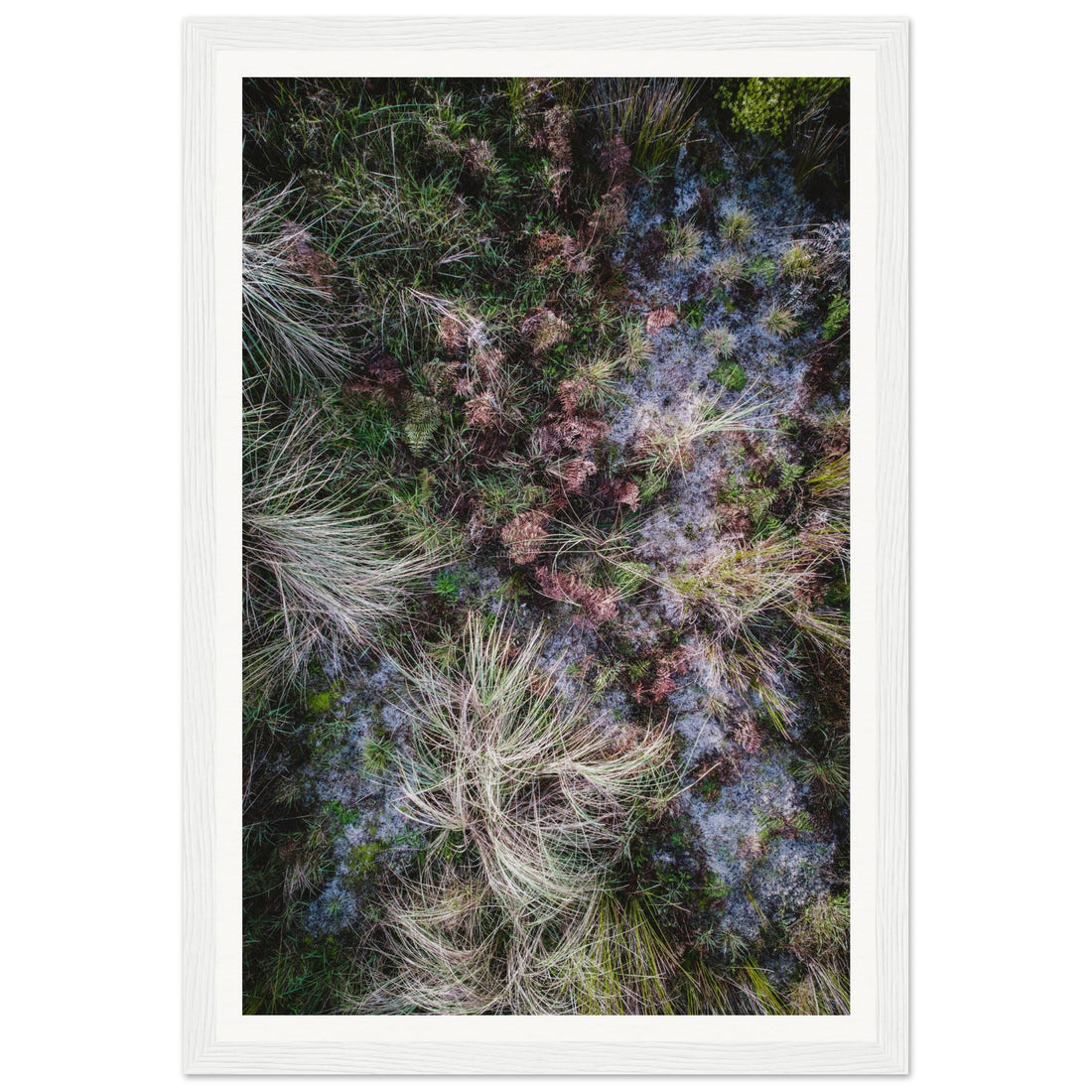 Textures - Fine Art Photographic Print (Framed)