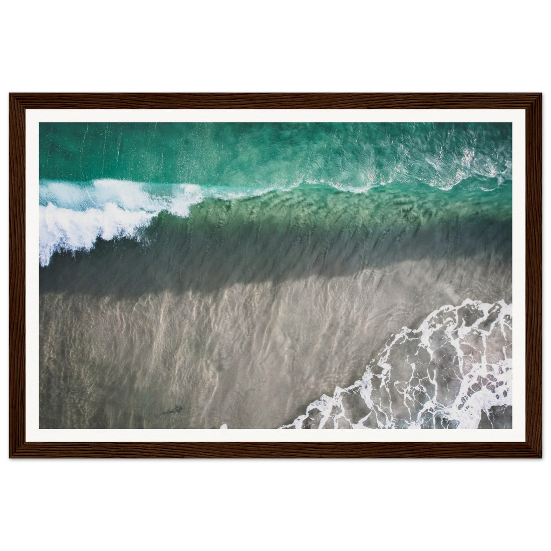 Shark - Fine Art Photographic Print (Framed)