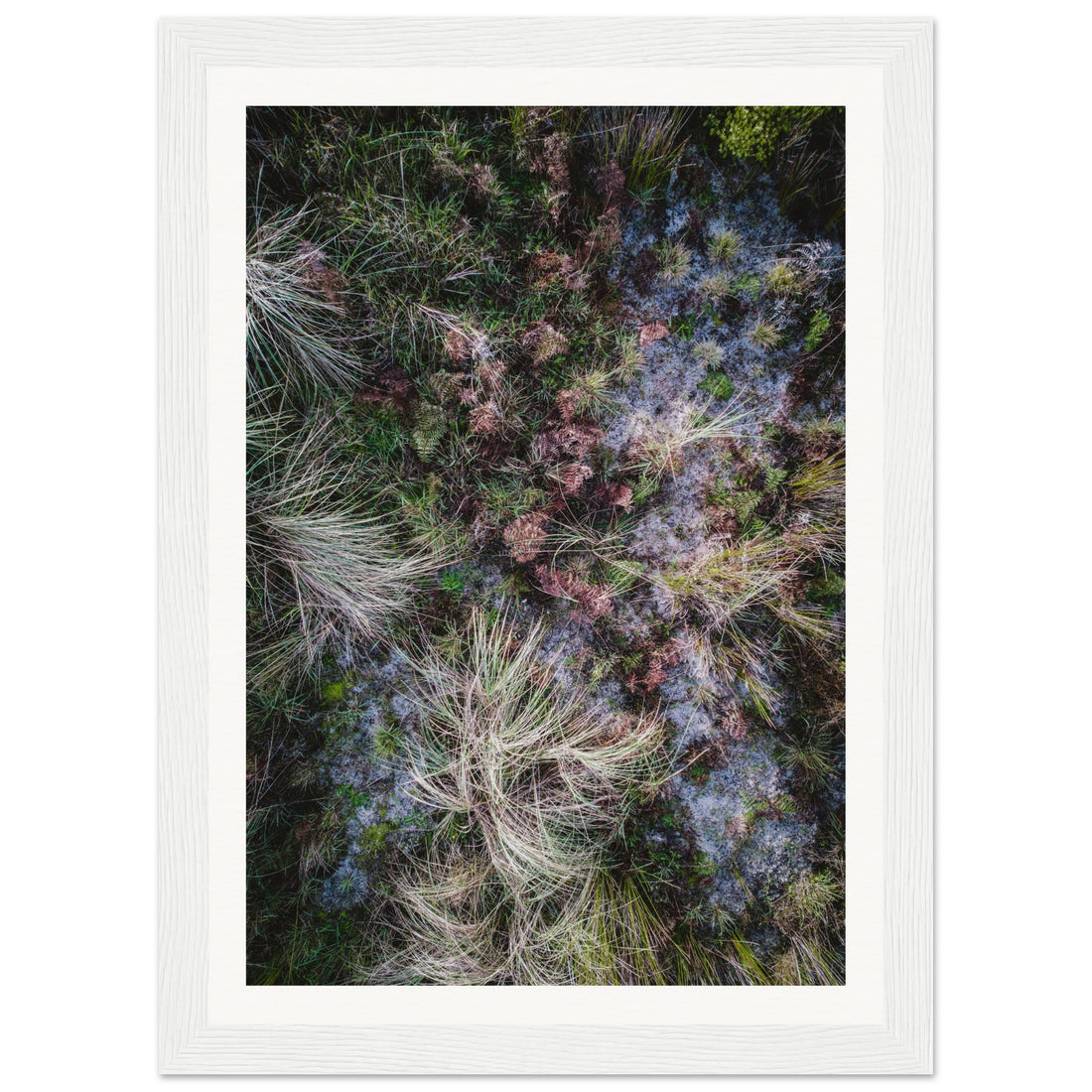 Textures - Fine Art Photographic Print (Framed)