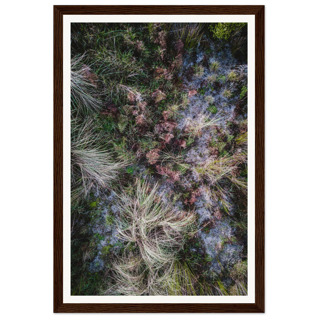 Textures - Fine Art Photographic Print (Framed)